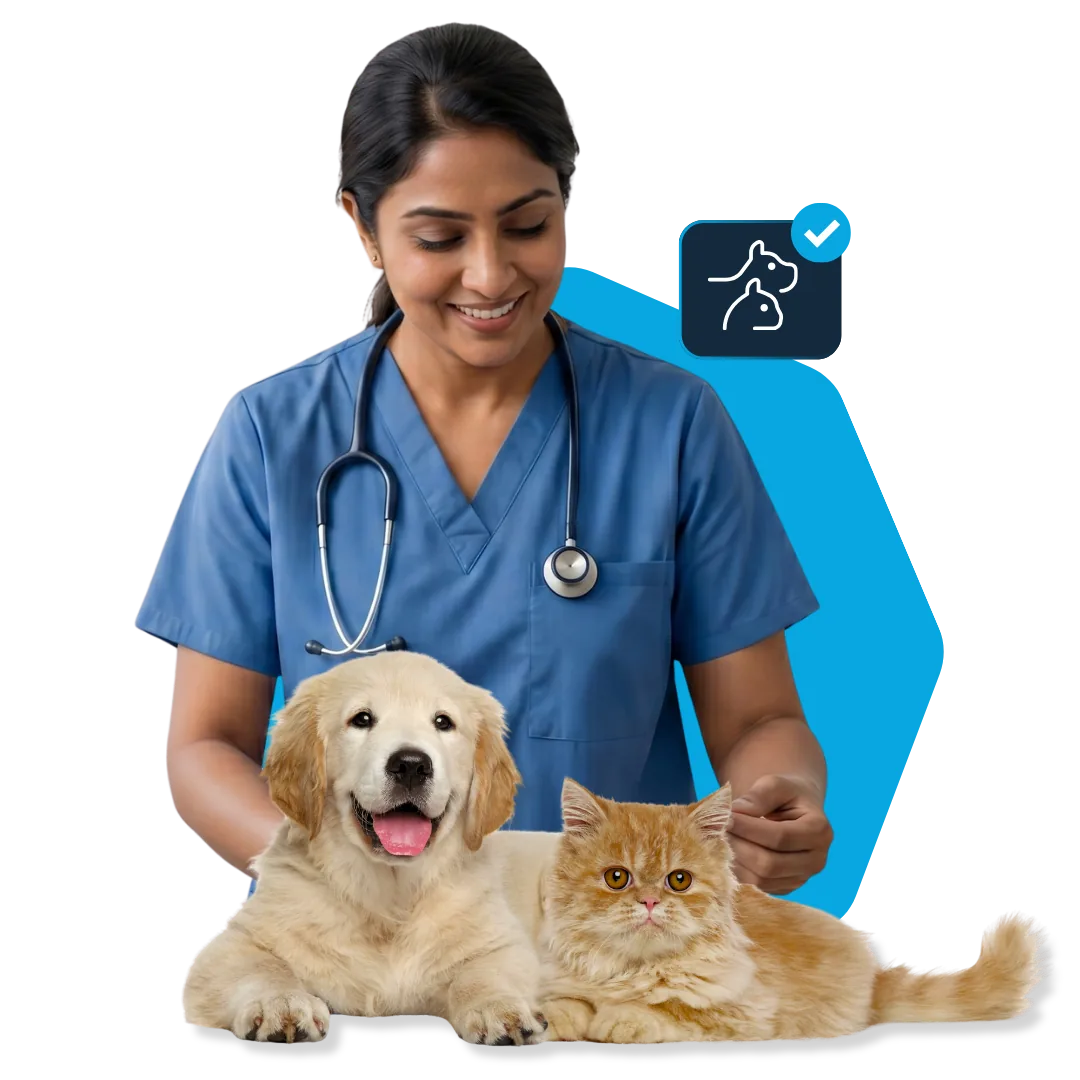 Pet Insurance protection illustration
